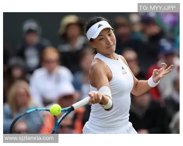 网球盛宴：深入解析北京网球队员的独特技能与竞技风采