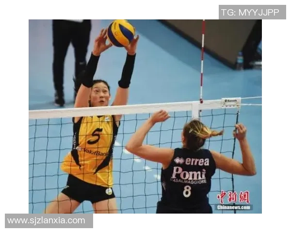 杭州排球队在冠军赛中的技术亮点与不足分析