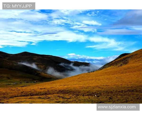 崔永熙的艺术之路与人生哲学探讨:从初心到巅峰的心灵旅程