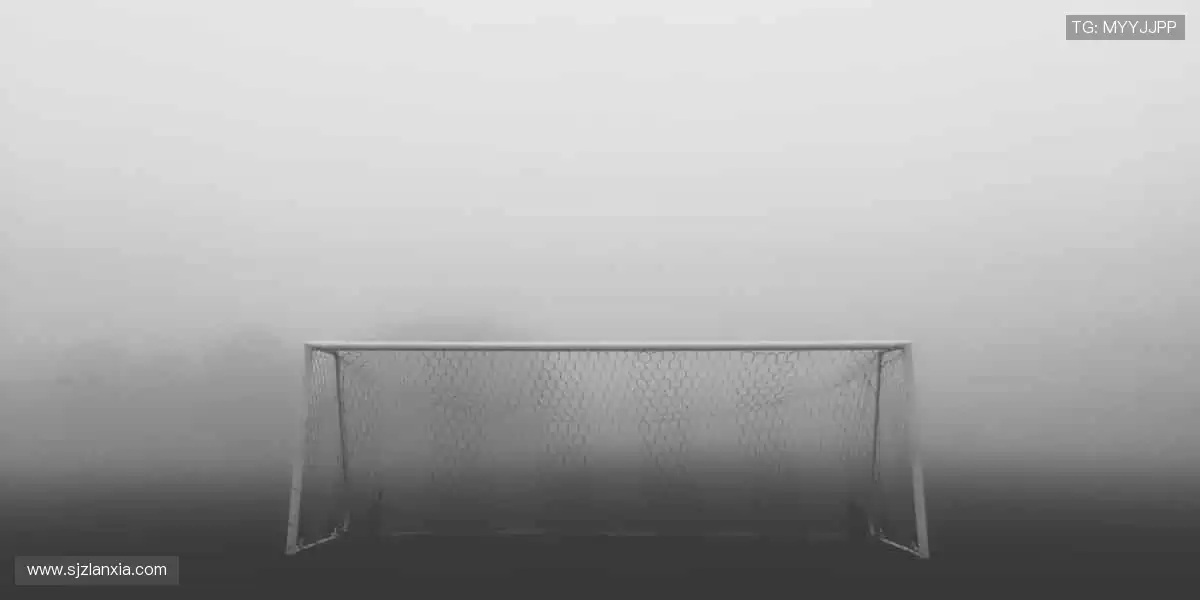 📺高清直播，每一个进球都让你身临其境！🏀